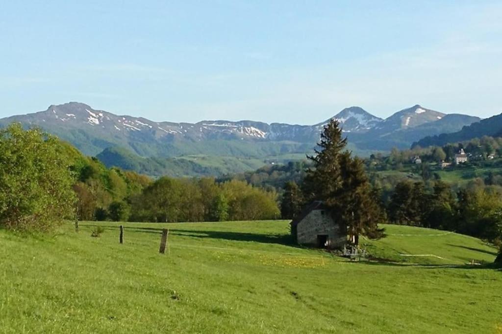 Gite A La Ferme Au Coeur De L'Auvergne Saint-Hippolyte  Kültér fotó